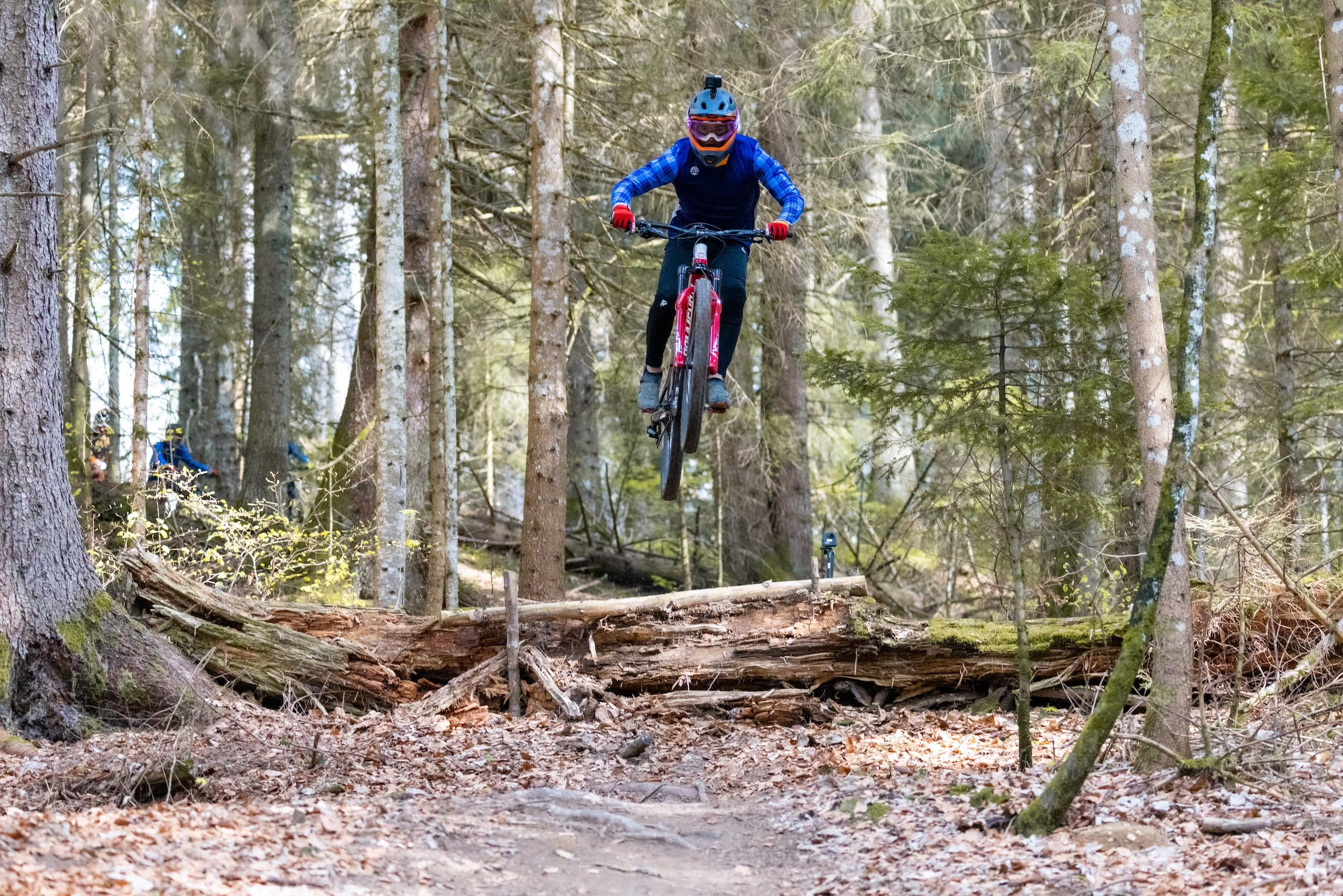 Student mountain biking through a forest